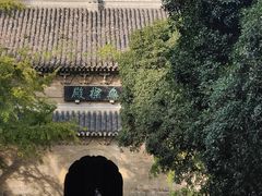 -灵谷景区