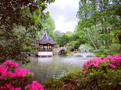 -上海醉白池公园