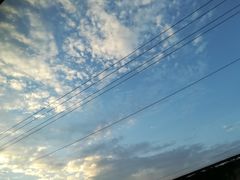 -秦始皇帝陵博物院-丽山园