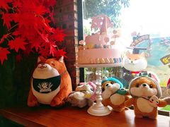 -柴犬高等学院·狗咖·柴犬售卖·宠物训练