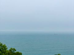 -广东惠东海龟国家级自然保护区