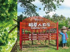 -三亚亚龙湾红树林度假酒店