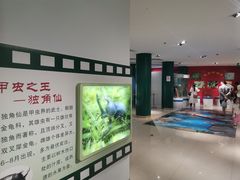 -上海昆虫博物馆