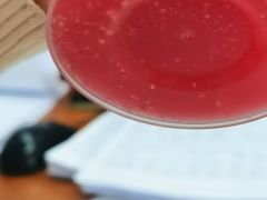 -LELECHA乐乐茶(新街口大洋店)