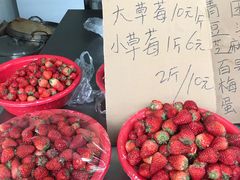 -葑门横街