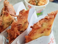 -半月镰胡姐脆皮萝卜饺子