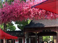-南汇桃花村