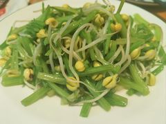 -金海湾海鲜排档(朱家尖店)