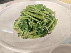 -丁老爷子苏香圆
