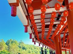 -三水森林公园
