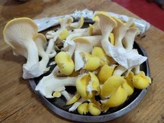 -钰洁腊排骨火锅