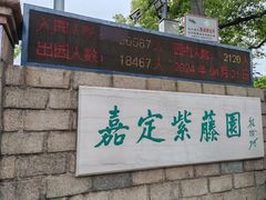 -嘉定紫藤园