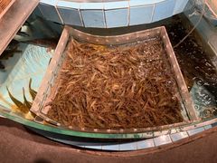 -荣小馆(安达仕店)