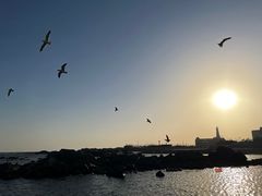 -海合安青岛极地海洋公园