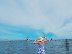 -碧海金沙