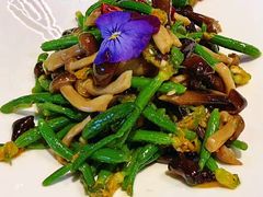 乳瓜拌鸡枞菌-来相会饺子·新辽菜(甘家口店)