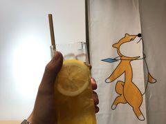 柠檬红茶-柴迷FANS CLUB·柴犬狗咖·猫咖