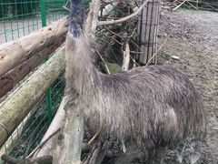 -宁波野生动物园