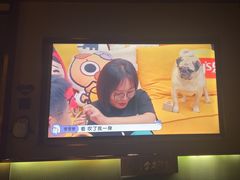 -蓉府金足印象(草市街22分店)