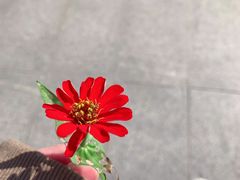 -叶新小吃店(来凤小区总店)