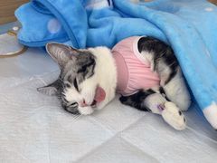 -达爱动物医院·犬猫分区·CT·复杂眼科(远洋山水分院)