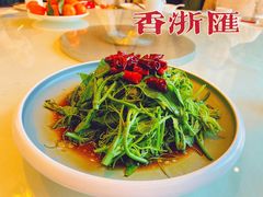 -香浙汇(望京店)