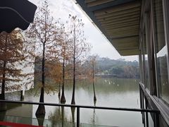 -鹿鸣酒家(越秀店)
