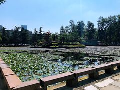 -四川大学(望江校区)