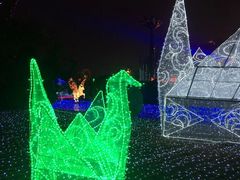 -飞凤山奥体公园