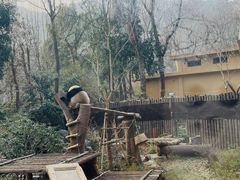 -杭州动物园