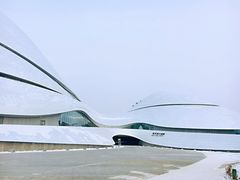 -哈尔滨大剧院