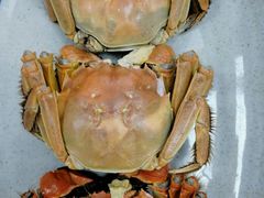 -盒马渔市(平高企业集团·平高广场店)