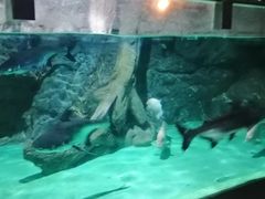 -常州海昌海洋探索馆