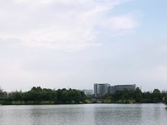 -成都南湖公园