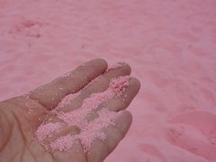 -上海山野camping·户外天幕烧烤·团建拓展营地