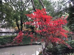 -汇龙潭