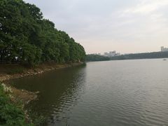 -李公堤