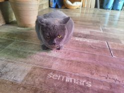 -青木造型HAIR·あおき髪を刈る潮人店