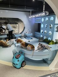 -MINI MARS KIDS CLUB亲子家庭中心(长宁天山店)