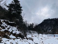 -沣峪口