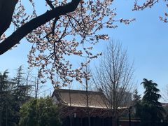 -明故宫遗址公园