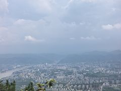 -缙云山景区