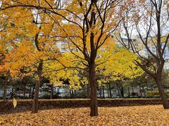 -元大都城垣遗址公园