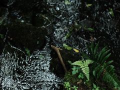 -虎跑公园