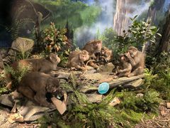 -湖南省地质博物馆