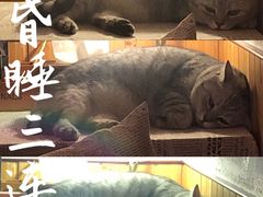 -隅cafe(傅厚岗店)