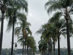 -南宁南湖公园