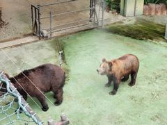 -深圳野生动物园