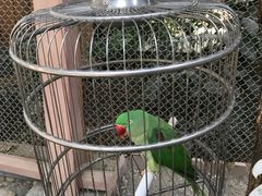 -南宫五洲植物乐园