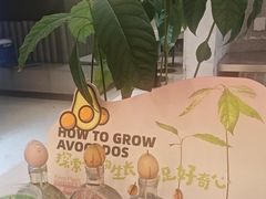 -Mr.Fruits水果先生(英蓝金融中心店)